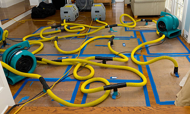 Professional Sewage Cleanup technician working in Clothier, WV