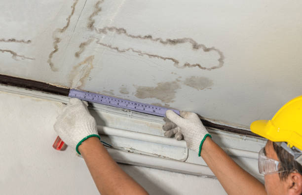 Affordable Water Damage Repair solutions in Clothier, WV